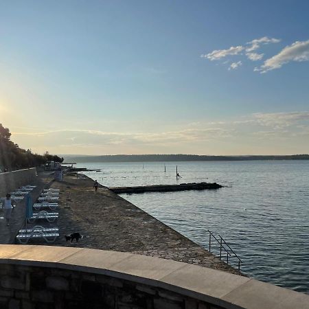 App Robi Apartment Novigrad  Exterior photo