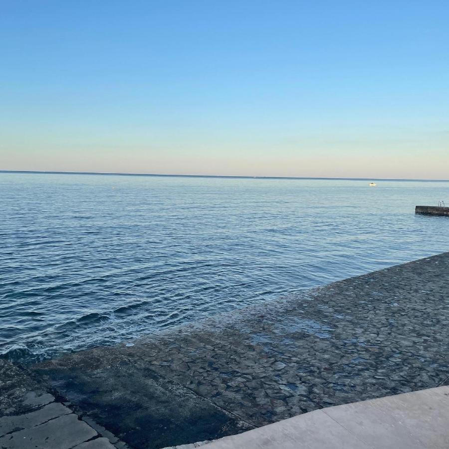 App Robi Apartment Novigrad  Exterior photo