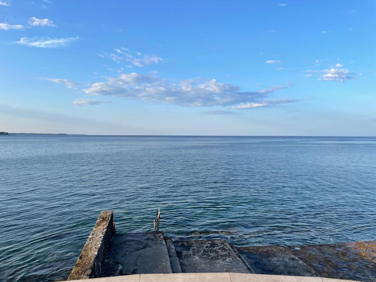 App Robi Apartment Novigrad  Exterior photo